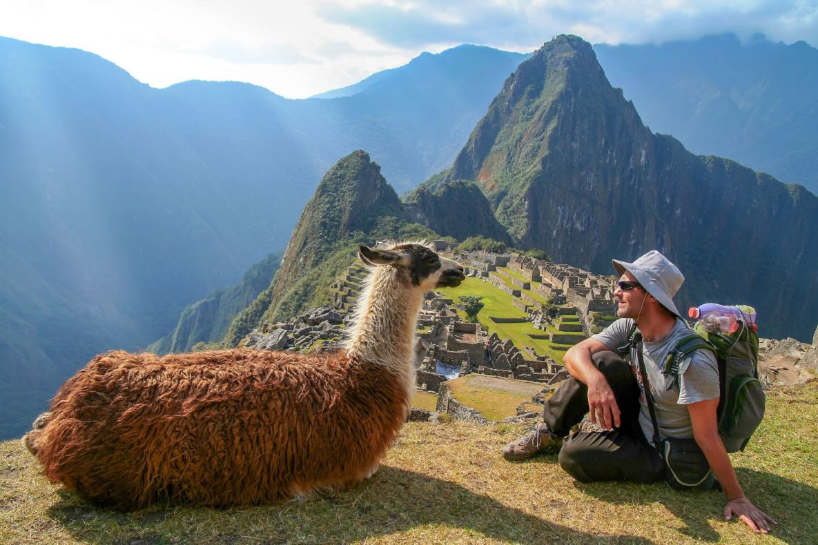 picnic in the mountains with an alpaca