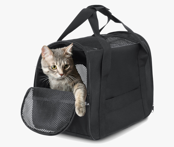 Pet Carriers
